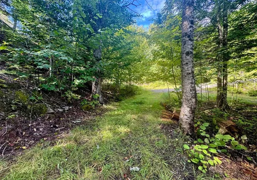 House for sale - 200 Ch. John-Charette, Mont-Tremblant, J0T 1H0