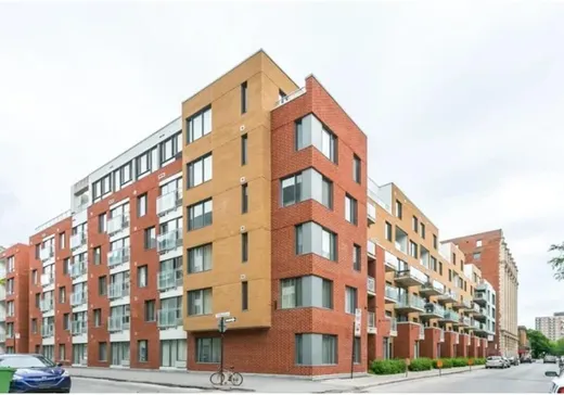 Condo à vendre - 1248 Av. de l'Hôtel-de-Ville, App. 312, Montréal (Ville-Marie), H2X0B2