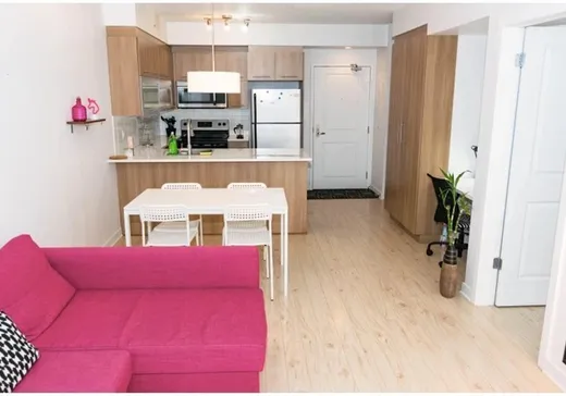 Condo à vendre - 1248 Av. de l'Hôtel-de-Ville, App. 312, Montréal (Ville-Marie), H2X 0B2