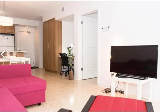 Condo à vendre - 1248 Av. de l'Hôtel-de-Ville, App. 312, Montréal (Ville-Marie), H2X 0B2