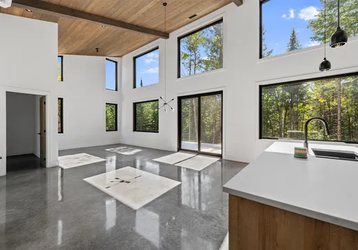 House for sale - 1200 Ch. du Lac-Rougeaud, Mont-Tremblant, J0T 1J2