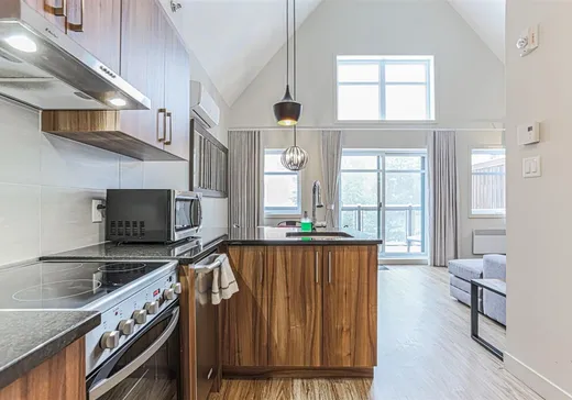 Condo à vendre - 50 Ch. Masson, App. 312, Sainte-Marguerite-du-Lac-Masson, J0T 1L0