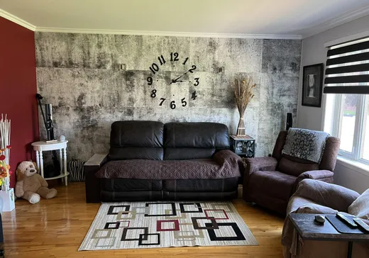 Maison à vendre - 123 Rue des Dominicaines, Salaberry-de-Valleyfield, J6T 2V6