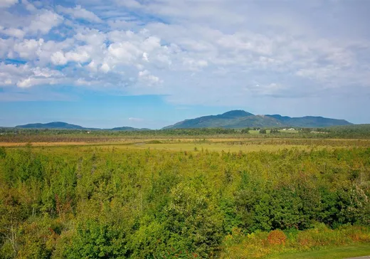 Condo for sale - 931 Rue du Moulin, Magog, J1X 7K5