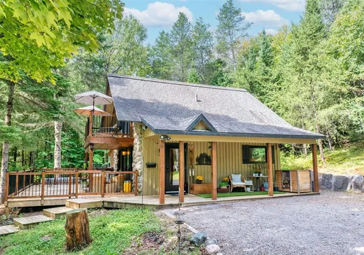Maison à vendre - 142 Rue Richer, Mont-Tremblant, J8E 1N1