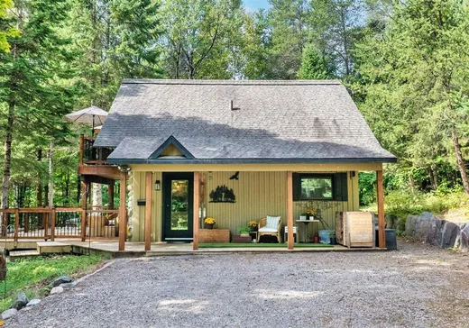 Maison à vendre - 142 Rue Richer, Mont-Tremblant, J8E 1N1