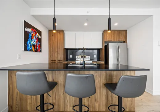 Condo à vendre - 12065 Rue de Blois, App. 402, Mirabel, J7J 2T5