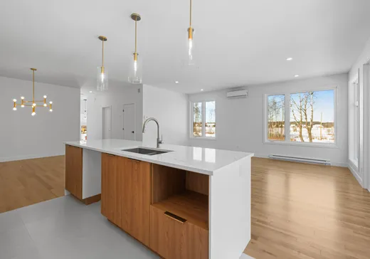 Maison à vendre - 973 Rue du Verbe-Divin, Granby, J2J 0W1