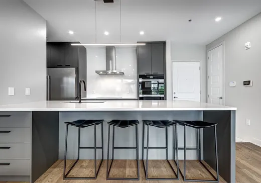 Condo à vendre - 3950 Rue Claude-Henri-Grignon, App. 102-104, Montréal (Saint-Laurent), H4R 0B5