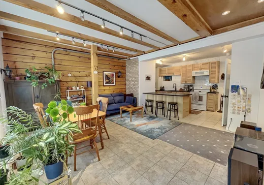 Maison à vendre - 919 Av. Duluth E., Montréal (Plateau-Mont-Royal), H2L 1B7