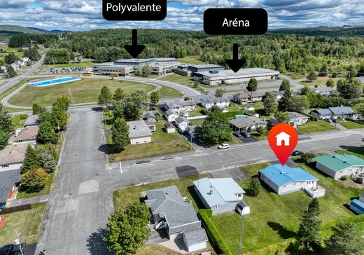 Maison à vendre - 875 Rue Grégoire, Thetford Mines, G0N 1E0