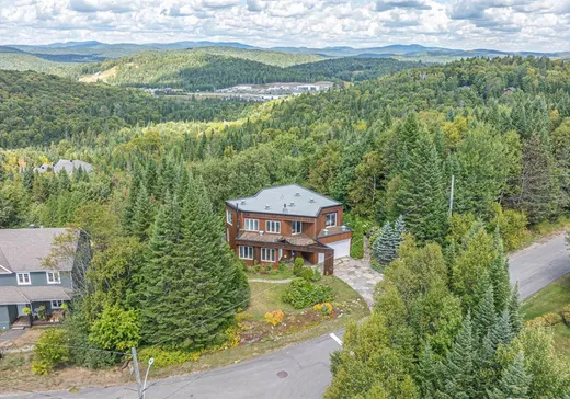 Two or more stories for sale - 19 Rue des Chrysanthèmes, Sainte-Agathe-des-Monts, J8C3N5