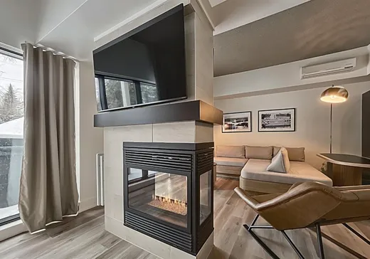 Loft for sale - 39 Ch. Fridolin-Simard, App. 1-208, Entrelacs, J0T 2E0