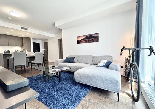 Condo for sale - 315 Rue Richmond, App. 421, Montreal (Downtown), H3J 0B7