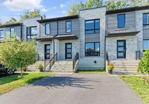Maison à étages à vendre - 60 Rue Charles-Larocque, St-Louis-De-Gonzague, J0S1T0
