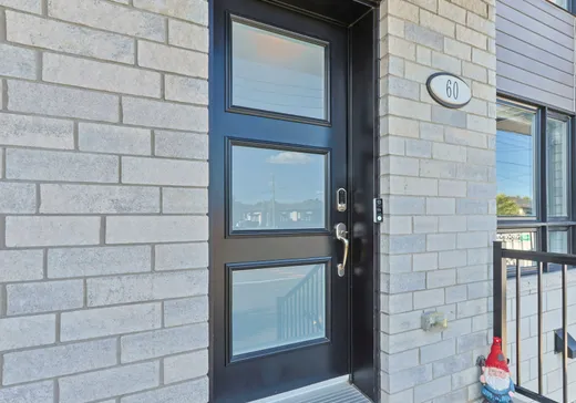 Maison à vendre - 60 Rue Charles-Larocque, St-Louis-De-Gonzague, J0S 1T0