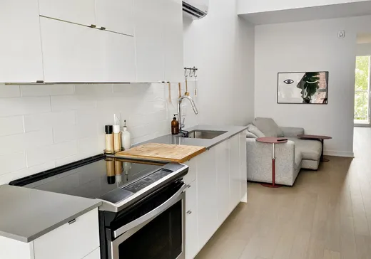 Condo à vendre - 3170 Rue De Rouville, Montréal (Mercier/Hochelaga-Maisonneuve), H1W2B1