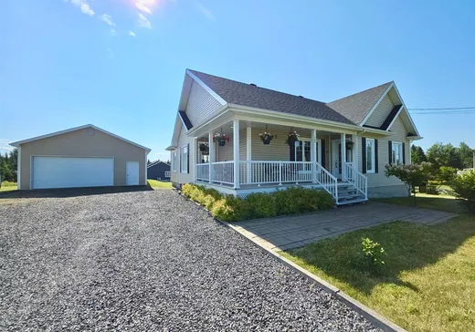 Maison à vendre - 133 Rue de la Fabrique, Saint-Luc-de-Bellechasse, G0R 1L0
