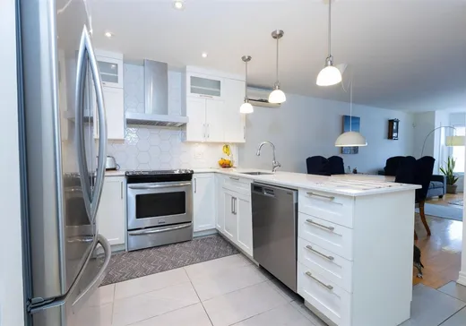 Condo à vendre - 8969 Rue Bellerive, Montréal (Mercier/Hochelaga-Maisonneuve), H1L 3S4