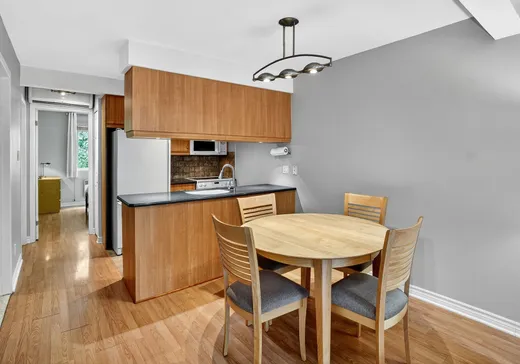 Condo à vendre - 1269 Rue Panet, Montréal (Ville-Marie), H2L 2Y6