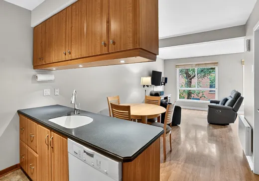 Condo à vendre - 1269 Rue Panet, Montréal (Ville-Marie), H2L 2Y6