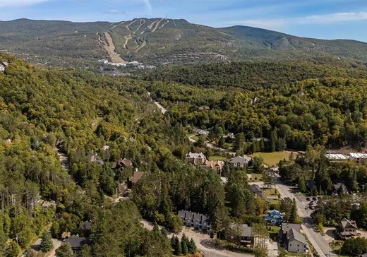 Maison à vendre - 111 Rue Rabellino, Mont-Tremblant, J8E 1H9
