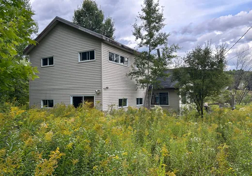 Maison à vendre - 110 Ch. Morgan, Montcalm, J0T 2V0