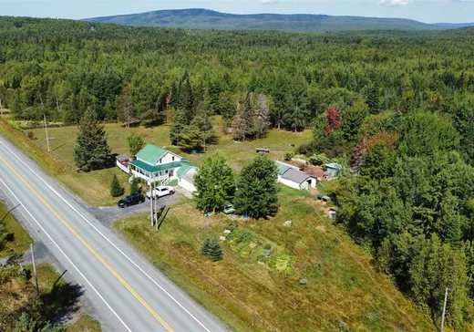 Fermette à vendre - 332 Route 161, Saints-Martyrs-Canadiens, G0P 1A1