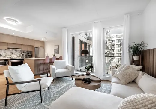 Condo à vendre - 385 Rue St-Martin, App. 307, Montréal (Le Sud-Ouest), H3J1W1