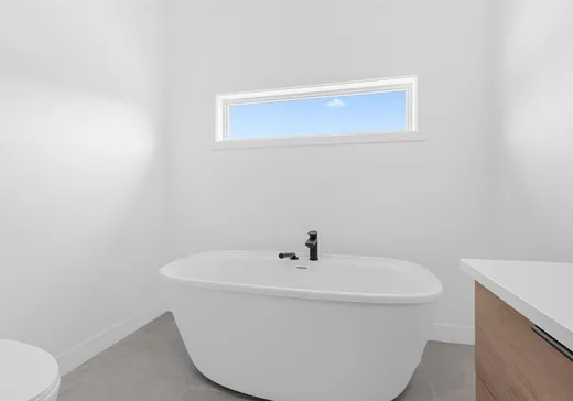 Maison à vendre - 517 Rue Fontainebleau, Les Chutes-de-la-Chaudière-Ouest, G6J 0P6
