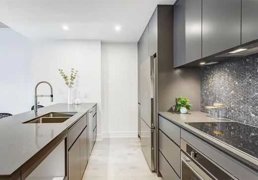 Condo à vendre - 2175 Rue St-Patrick, App. 316, Pointe-St-Charles (Île de Montréal), H3K 1B4