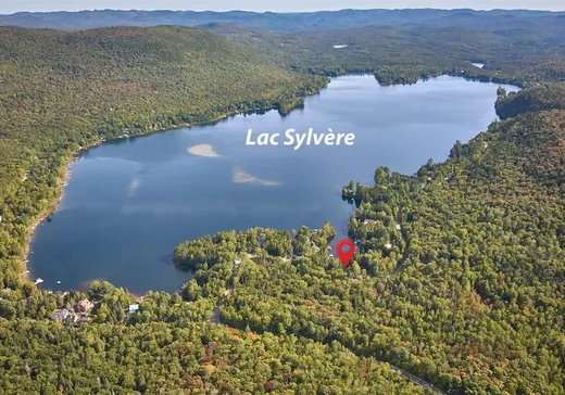 Maison à vendre - 51 Ch. Favreau, St-Donat-De-Montcalm, J0T 2C0