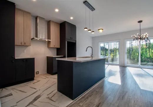 Maison à vendre - 6040 Rue de La Rochelle, Massueville, J3R 0N9