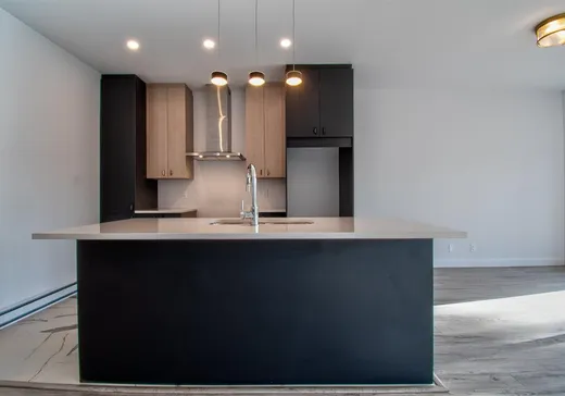 Maison à vendre - 6040 Rue de La Rochelle, Massueville, J3R 0N9