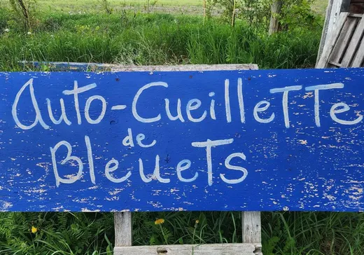 Fermette à vendre - 2840 Rg des Savary, Saint-Antoine-Abbé, J0S 1N0