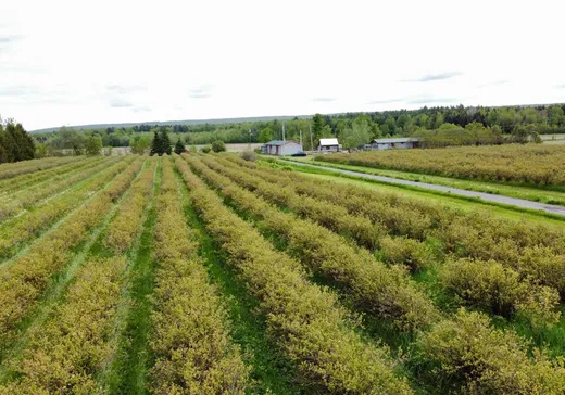 Fermette à vendre - 2840 Rg des Savary, Saint-Antoine-Abbé, J0S 1N0