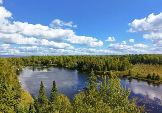 Maison à vendre - 100 Ch. du Lac-Dumas, Saint-Côme-Linière, G0M 1J0