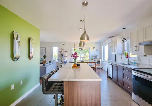Maison à vendre - 133 Rue des Berges, Victoriaville, G6T 2M1