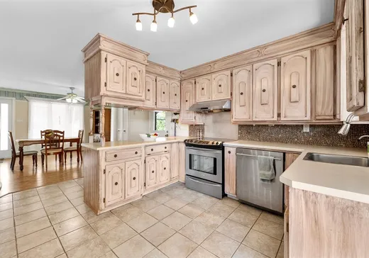 Maison à vendre - 870 Rue Pelchat, Acton Vale, J0H 1A0