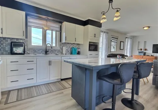 House for sale - 238 Rue Caron, Saints-Martyrs-Canadiens, G0P 1A0