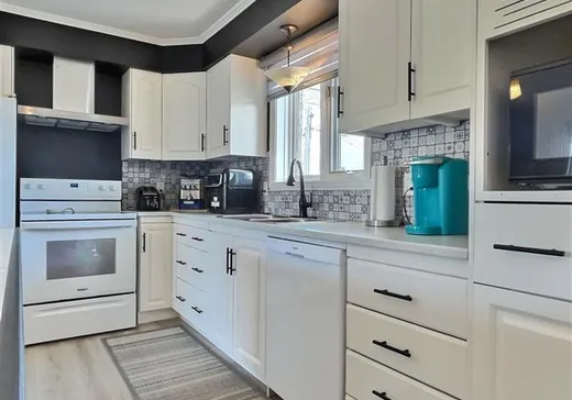House for sale - 238 Rue Caron, Saints-Martyrs-Canadiens, G0P 1A0