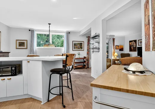 Condo à vendre - 330 Rue Pineault, Montréal (Centreville), J3H 3S4