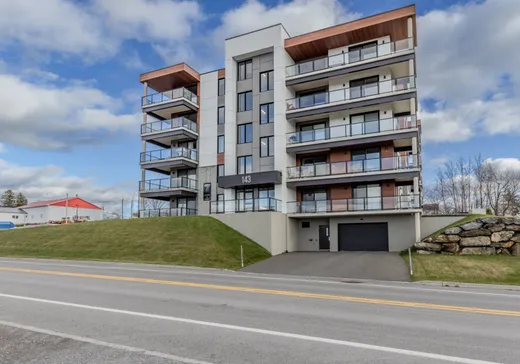 Condo for sale - 143 Route 216, Ste-Marguerite, G0S 2X0
