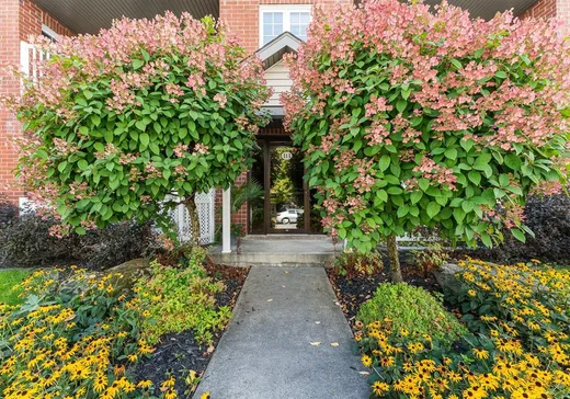 Condo à vendre - 414 Rue Jean-Louis-Boudreau, App. 208, Granby, J2H 0G2