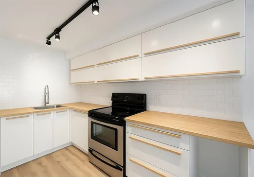 Condo for sale - 7393 Rue De La Roche, App. 1, Montreal (Villeray), H2R 2T4