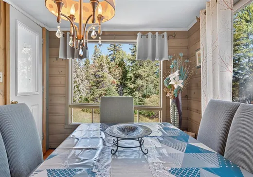 Maison à vendre - 5048 Ch. Renaud, Sainte-Agathe-des-Monts, J8C 2Z8