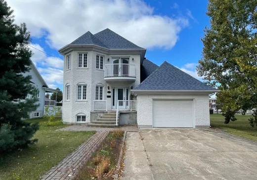 House for sale - 831 Rue Castelnau, La Tuque, G9X 2P7
