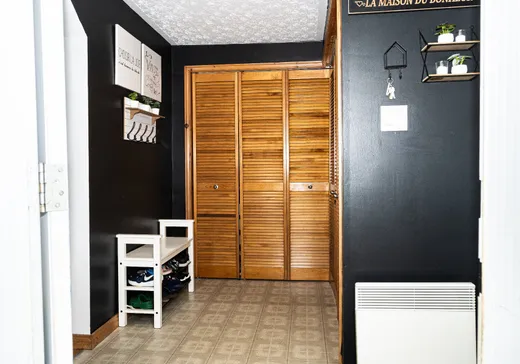 Maison à vendre - 196 Rue de la Montagne, Sainte-Germaine-Boulé, J0Z 1M0