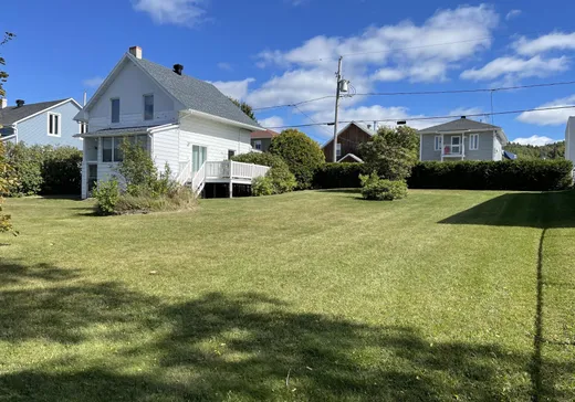 House for sale - 623 Rue Castelnau, La Tuque, G9X 2P2