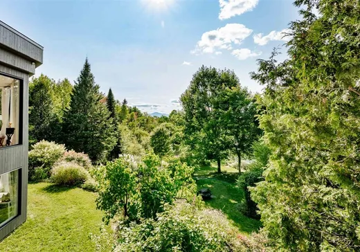 Maison à vendre - 71 Ch. du Grand-Duc, Mansonville, J0E 1X0